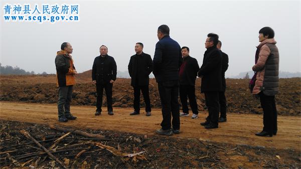 县人大深入调研椪柑产业